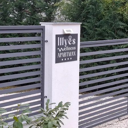 Illyes Wellness *