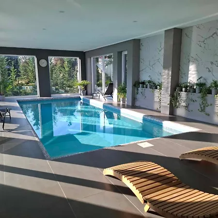 Illyes Wellness Kosd